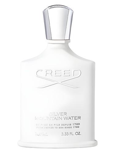 Frasco do Silver Mountain Water